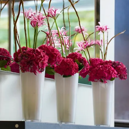 The Fitzwilliam 5* Dublin