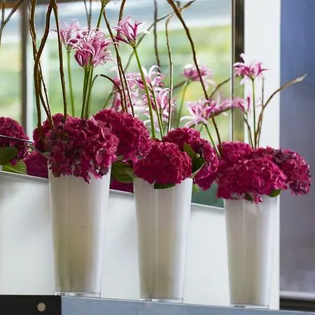 The Fitzwilliam 5* Dublin