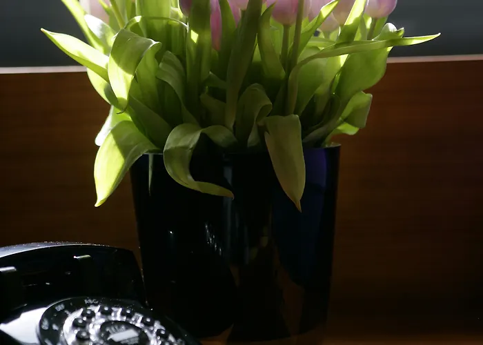 Hotell The Fitzwilliam 5*